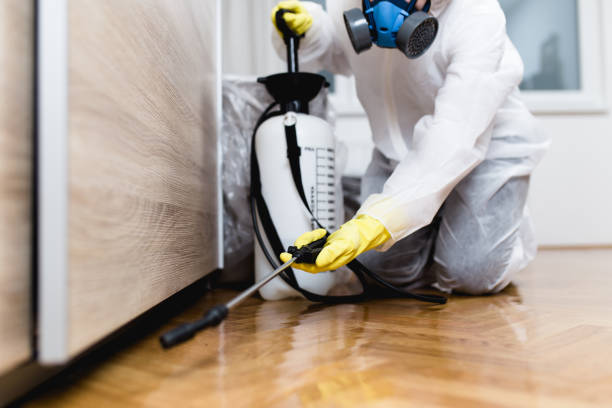 Best Residential Pest Control  in Louisville, TN