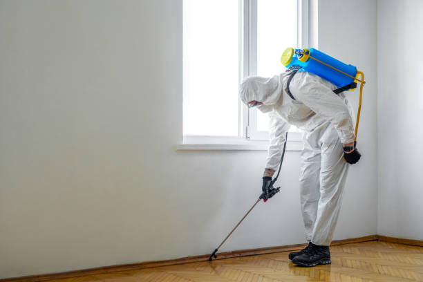 Best Local Pest Control Services  in Louisville, TN
