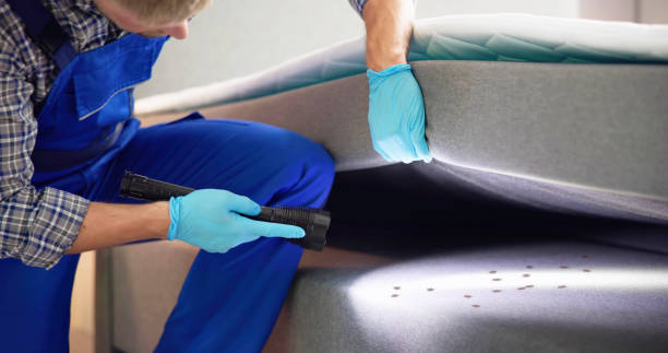 Best Flea Control Services  in Louisville, TN