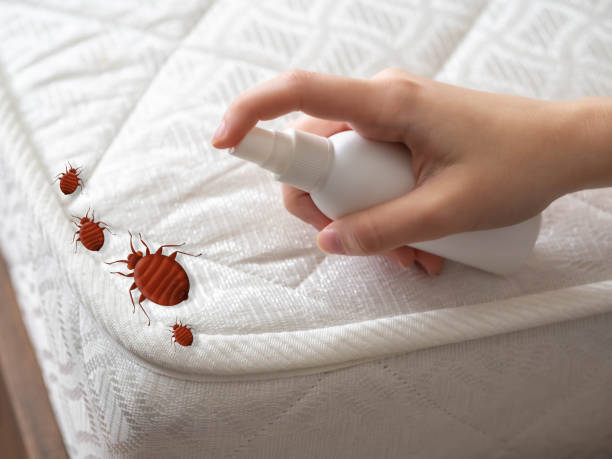 Best Flea Control Services  in Louisville, TN