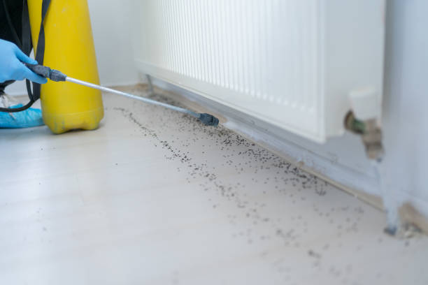  Louisville, TN Pest Control Pros