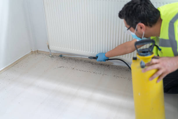 Best Wasp Removal Services  in Louisville, TN