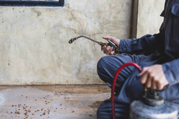 Best Pest Inspection Near Me  in Louisville, TN